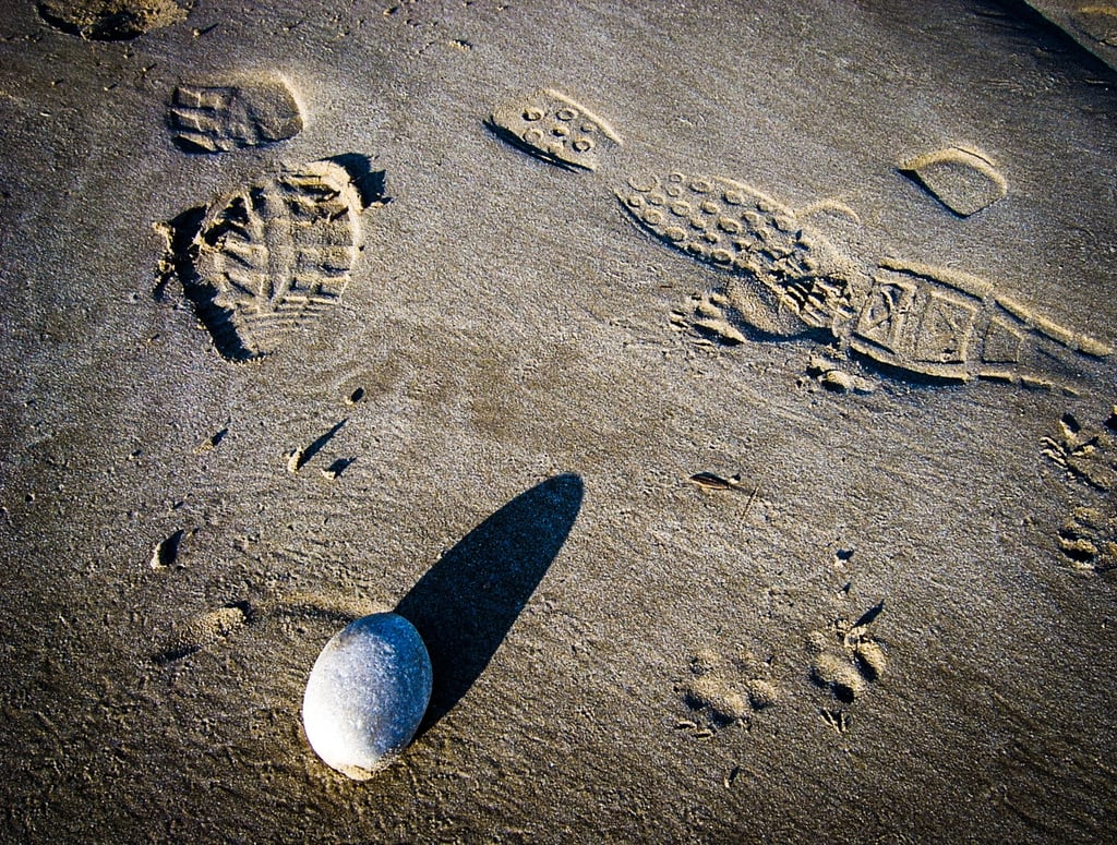 The shadow
