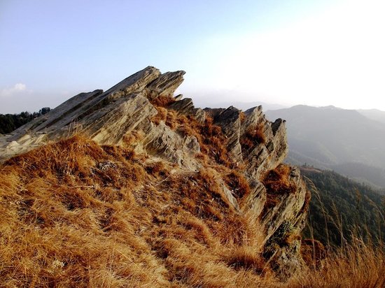 top homestay in mukteshwar