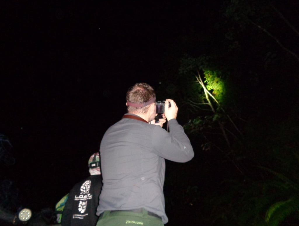 A photographer wearing a headlamp takes night photos in a dark forest using a digital camera.