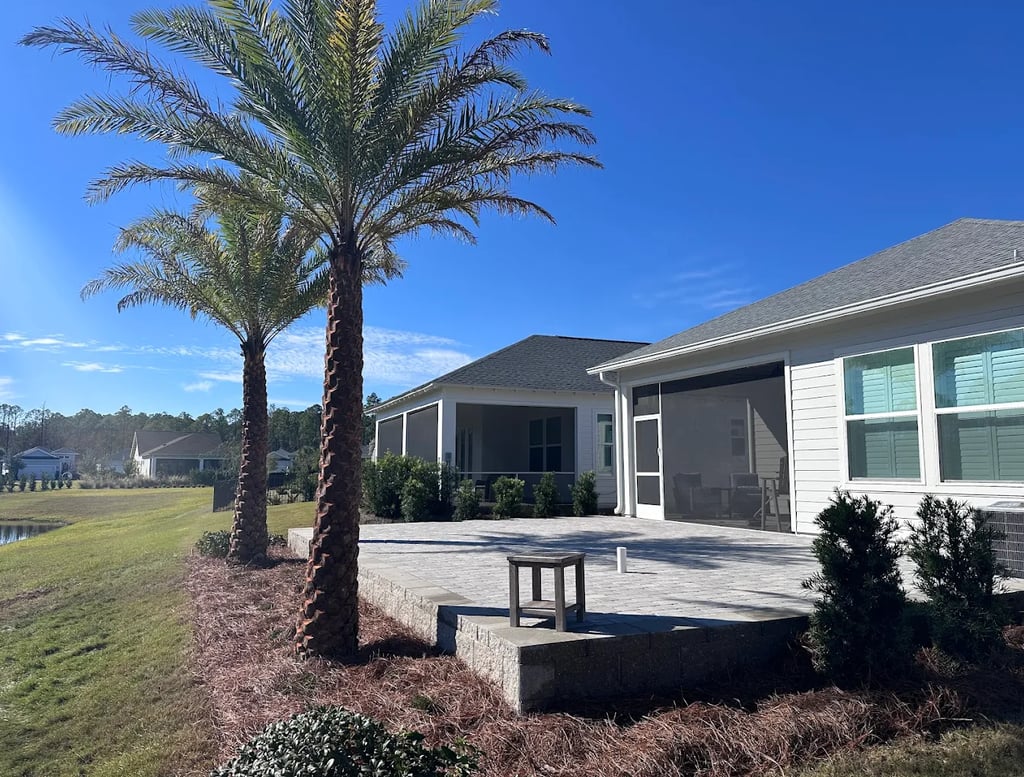 house with palm trees 