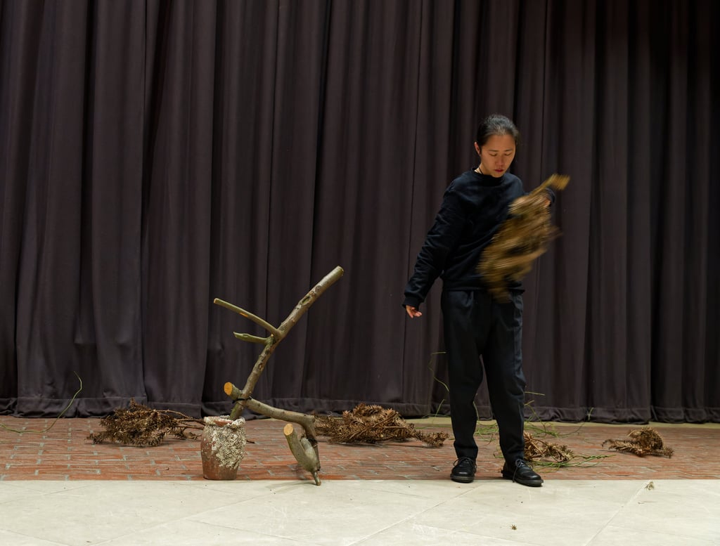 Ikebana performance featuring Monkey Puzzle Tree at CREATURE London Metropolitan University
