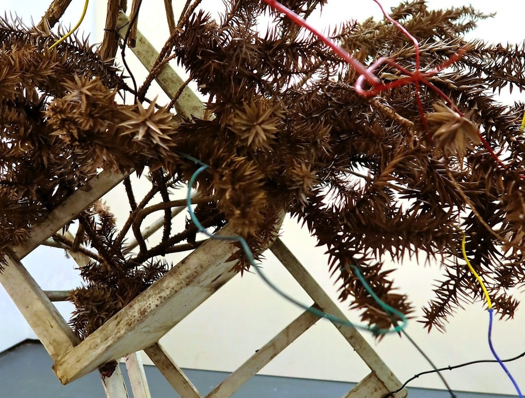 Found objects incorporated in Hedy Leung's 'SWOOSH! POKE! POW! OOF!' performance-installation