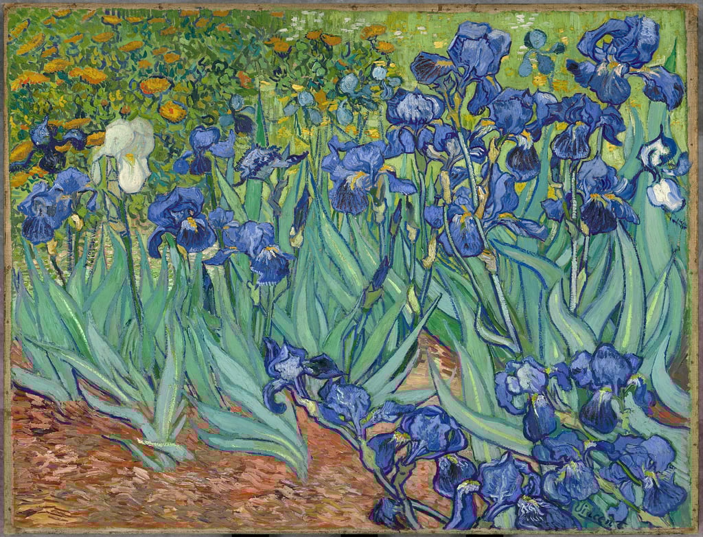 Vincent van Gogh - Irises, 1890