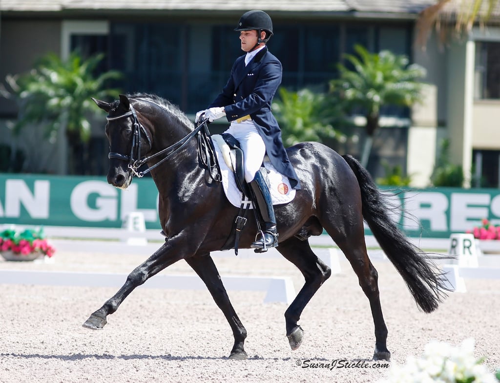 Rick Rockefeller-Silvia on the black stallion, Rubinero