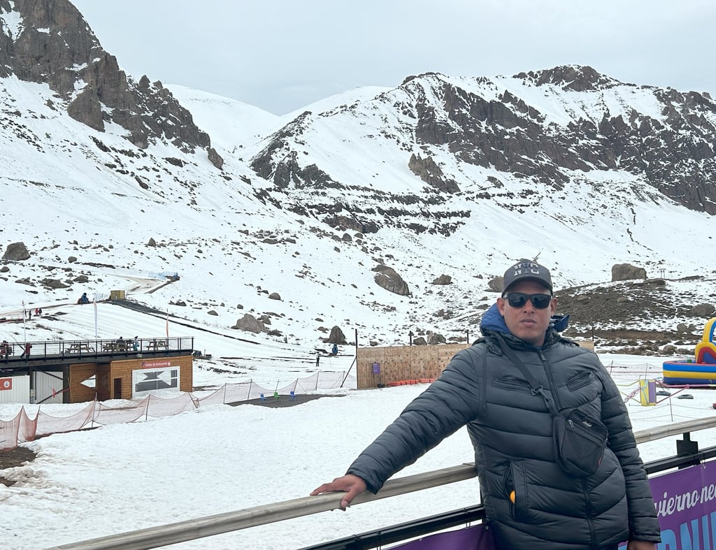 curioso maneiras em uma foto nas montanhas em farellones 