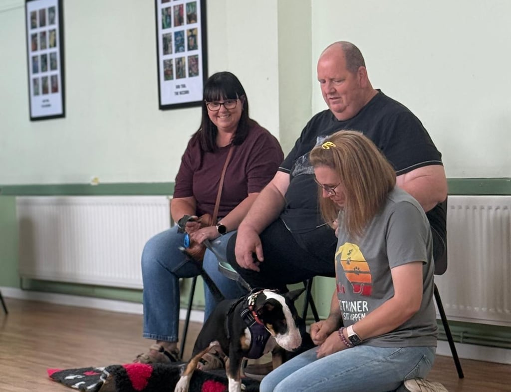 A couple with their English bull terrier & dog trainer at a puppy class in Stourbridge.
