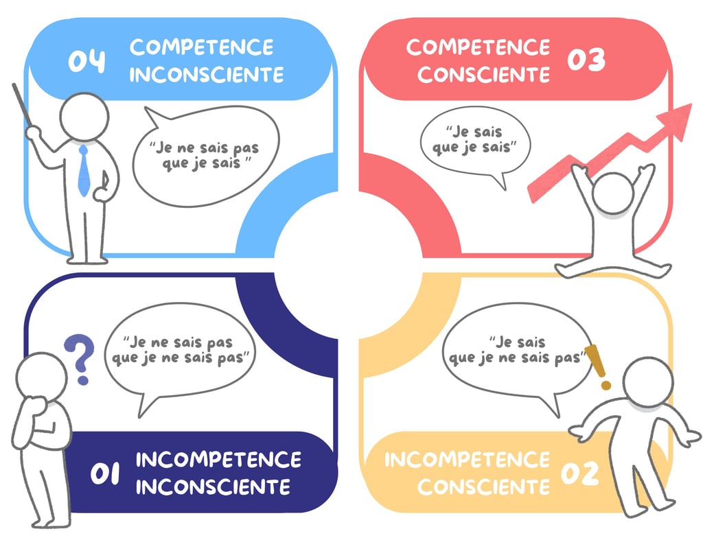 Illustration des 4 stades de l'apprentissage