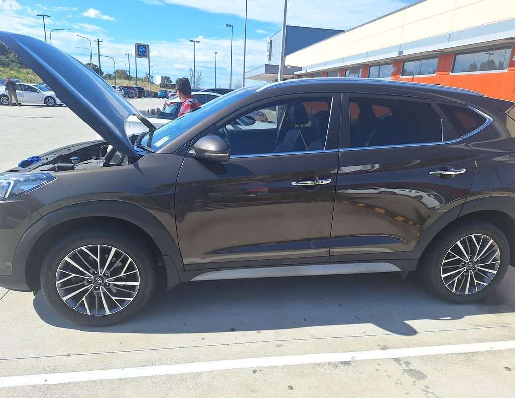 car inspection Sydney