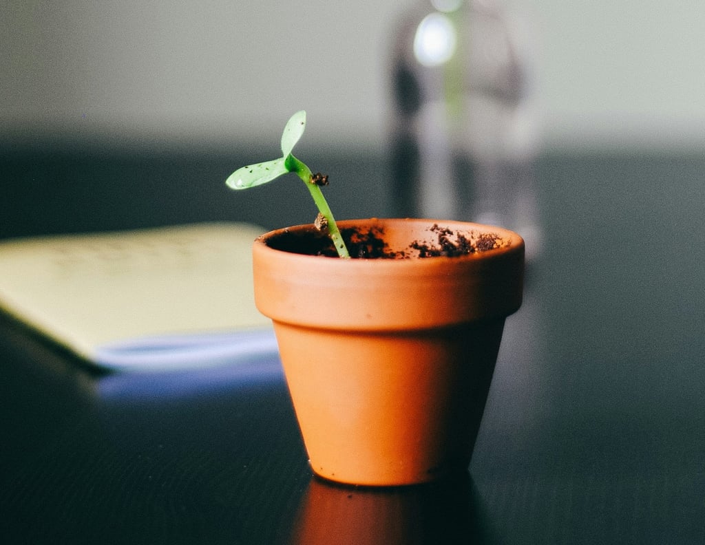 Thrive with support of GLEO Wellness Virtual Medical Weight Loss Program in Massachusetts