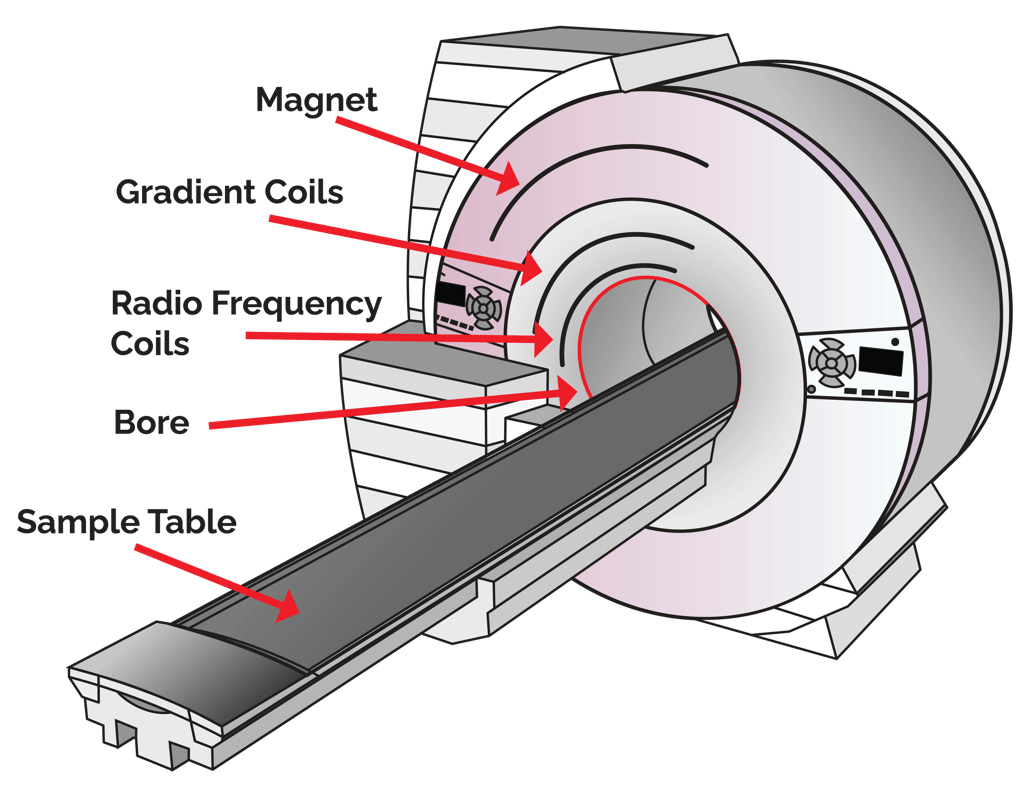 Illustation of the key parts of an MRI machine