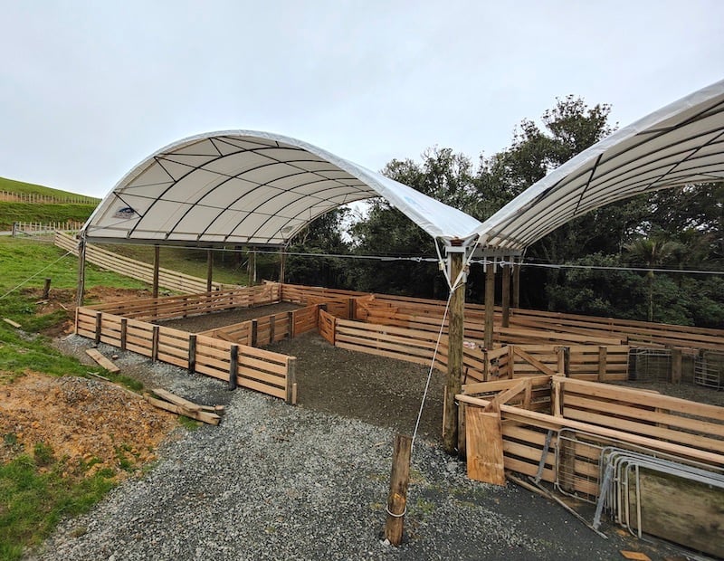 New build sheep yards - CHR Builders