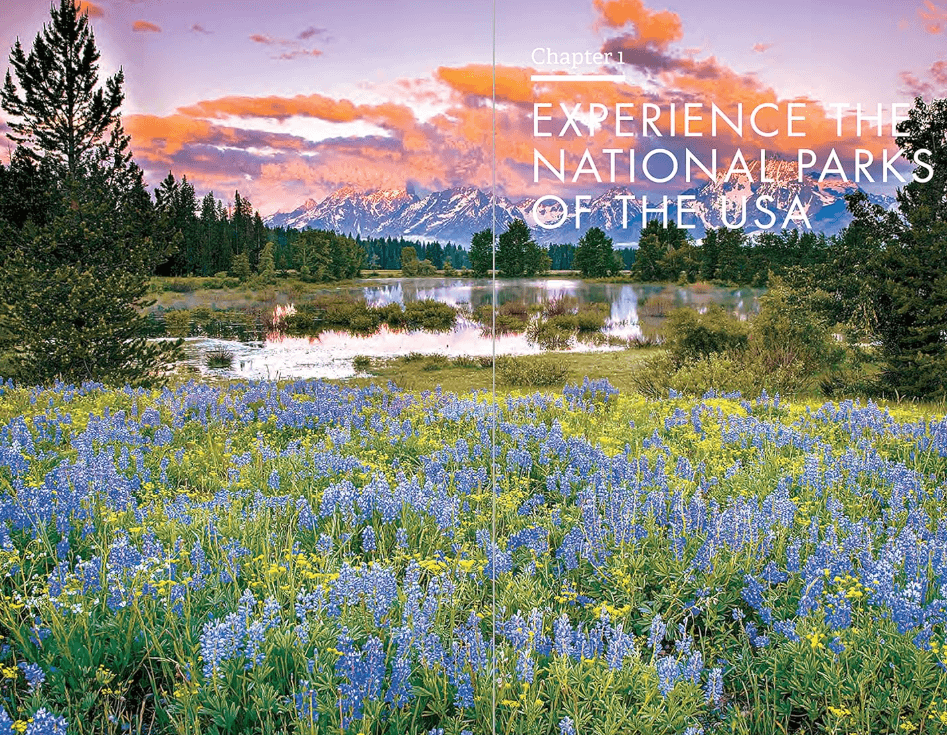 Wildflowers with a Grand Tetons background by a water backdrop