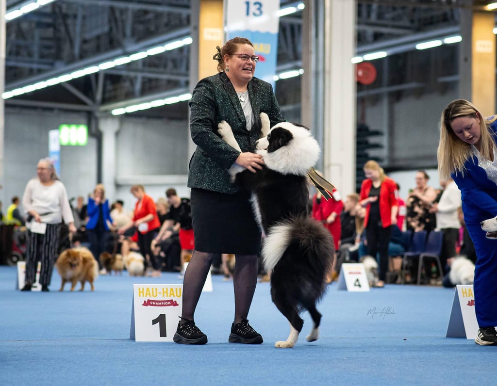 Yakutian laika kennel