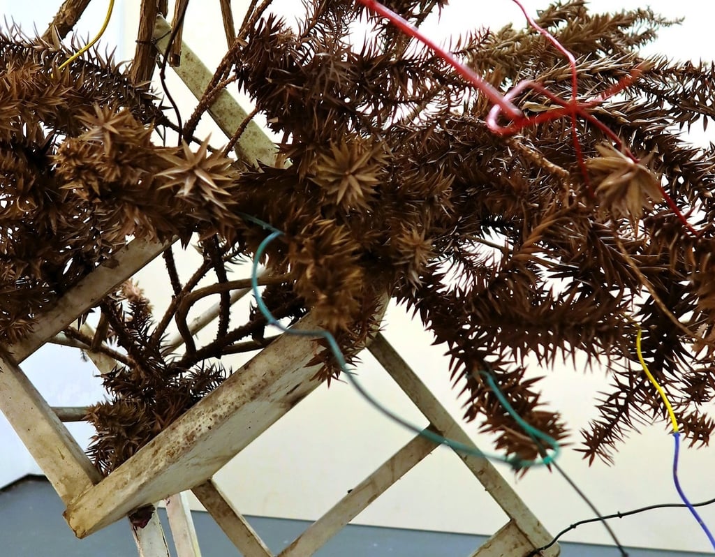 Found objects incorporated in Hedy Leung's 'SWOOSH! POKE! POW! OOF!' performance-installation