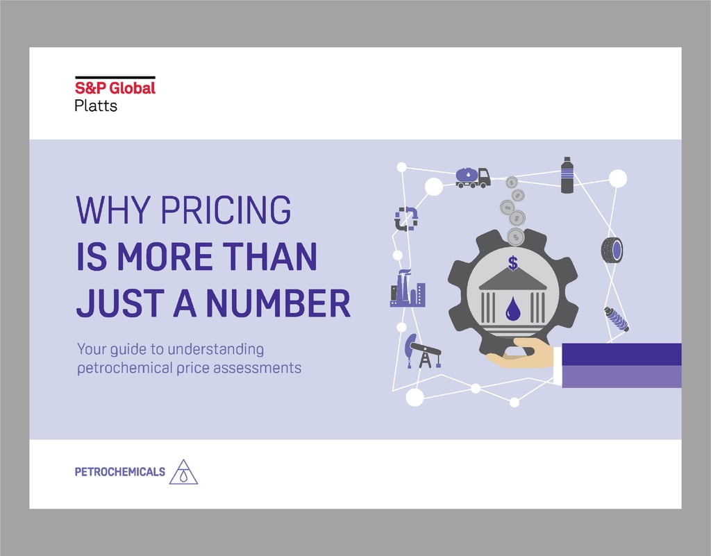 Digital interactive e-Book