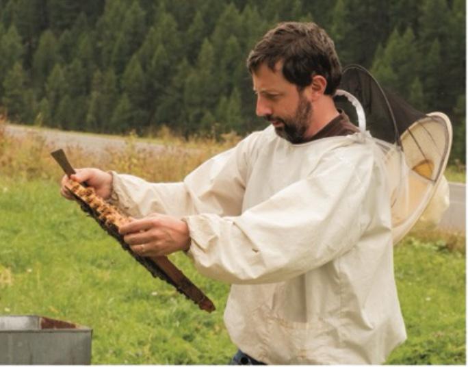 Gian Luca Giacomo Garnero che guarda un telaietto di un alveare con la tuta dell'epicoltore