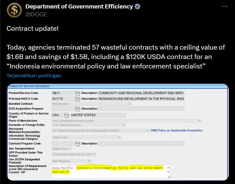 department of government efficiency