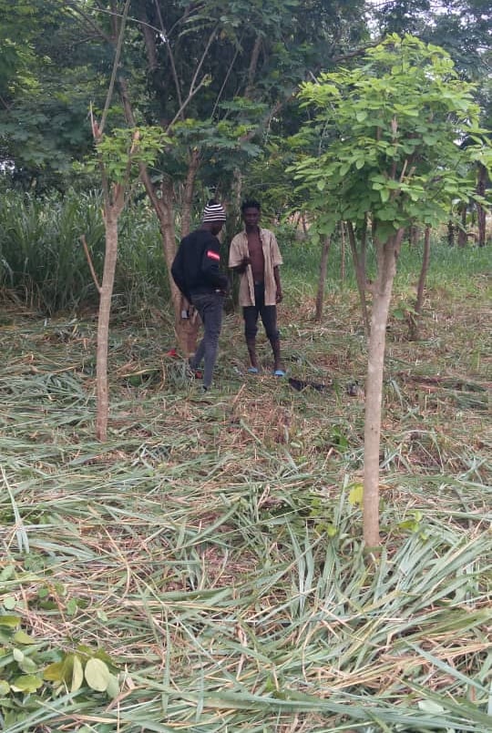 Ferme Aménopé Togo