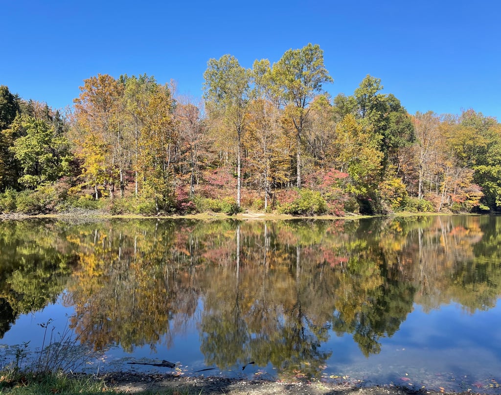 a lake with trees and a blue sky