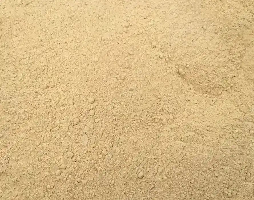 dehydrated garlic powder