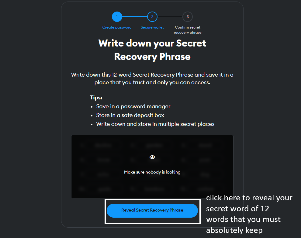 Metamask Write down your secret recovery phrase