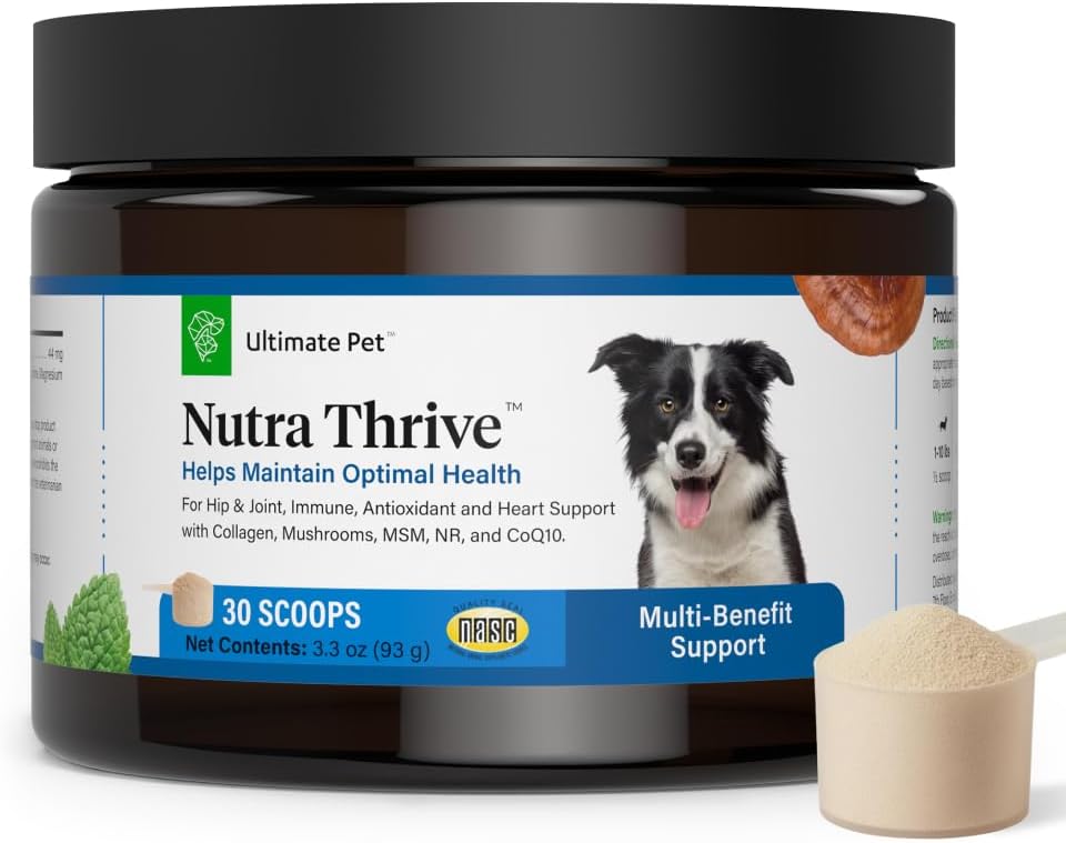 Ultimate Pet Nutra Thrive dog supplement jar with powder scoop for hip, joint, and immune support.