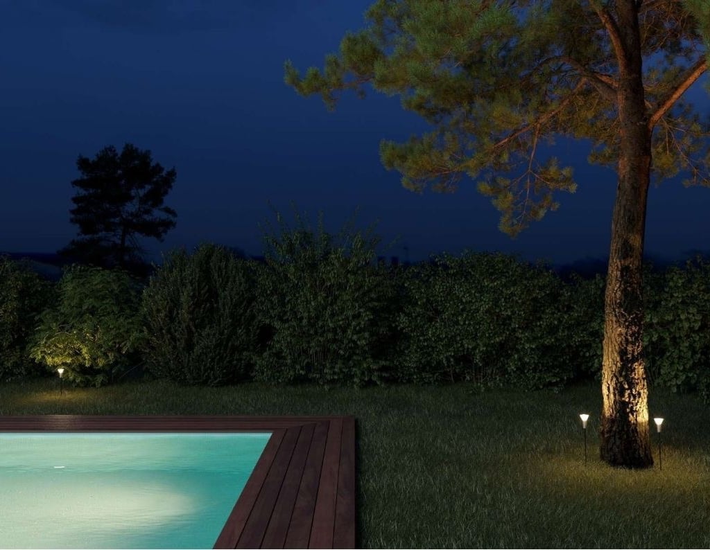 fotografía jardín de noche