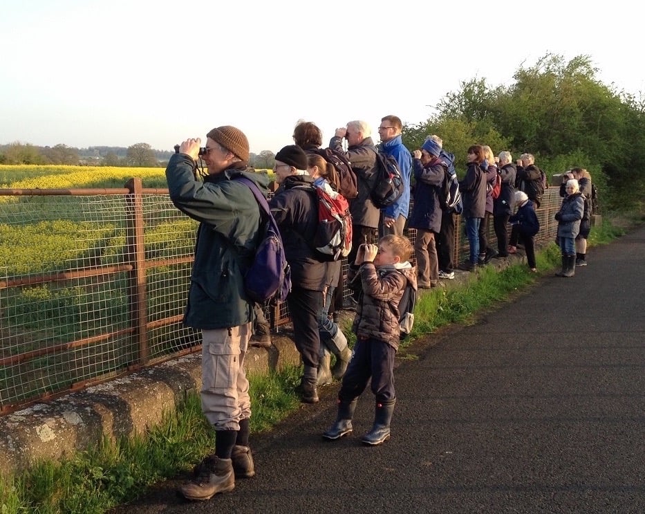 Dawn Chorus field trip