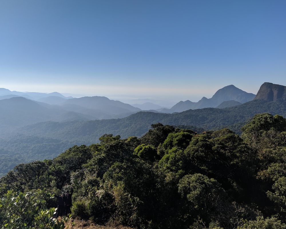 Atlantic Forest ecoregions of Brazil