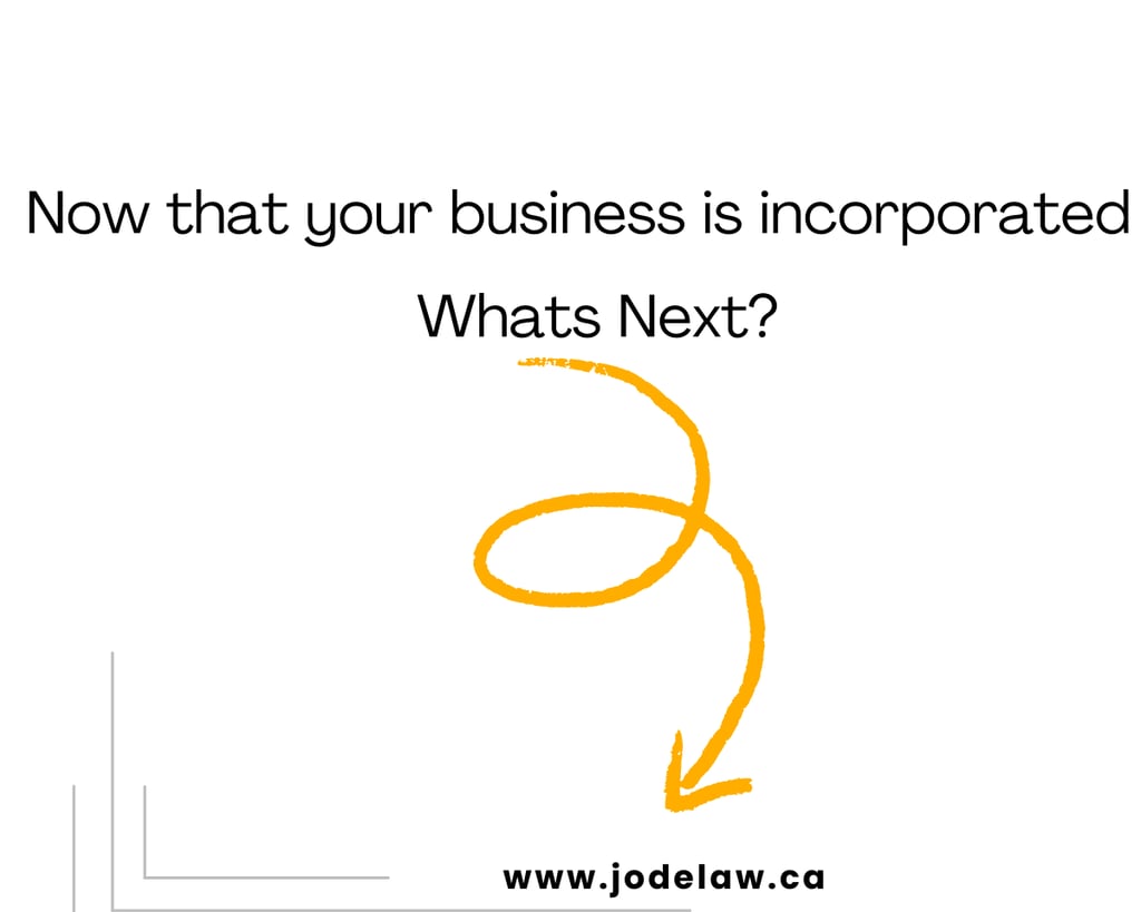 What should I do after I incorporate my business in Ontario? Jumi ODepe, Toronto business lawyer