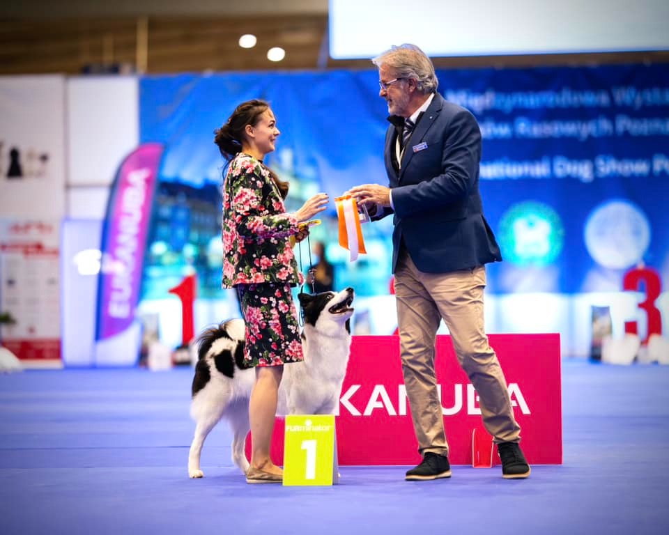 Best yakutian laika kennel