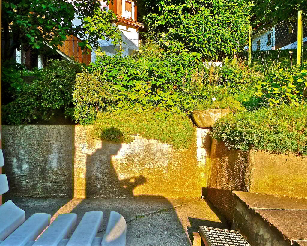 "Walking in the Park" © 2012 Heinz Lechner