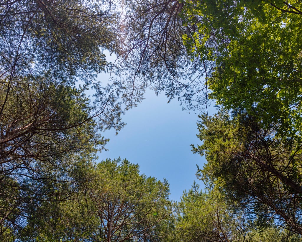 paseo naturaleza