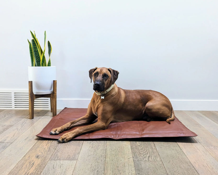 Portable cognac leather dog mat for travel and car use.