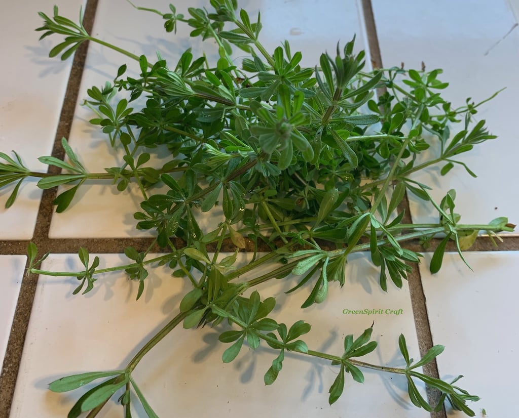 a handful of Cleavers strands on a white tile kitchen counter
