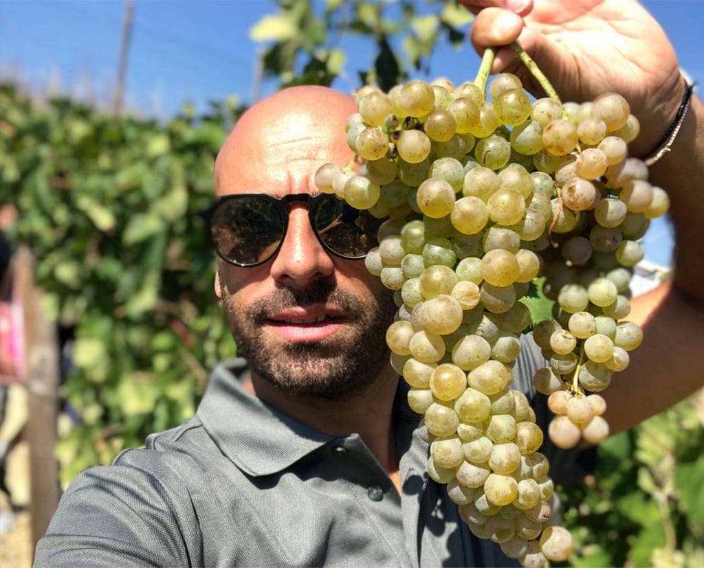 Giovanni d'Alesio, produttore Abruzzese vino artigianale e distribuzione vini italiani e francesi