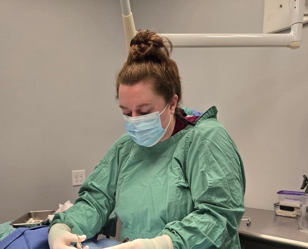 Owner and Veterinarian performing a procedure