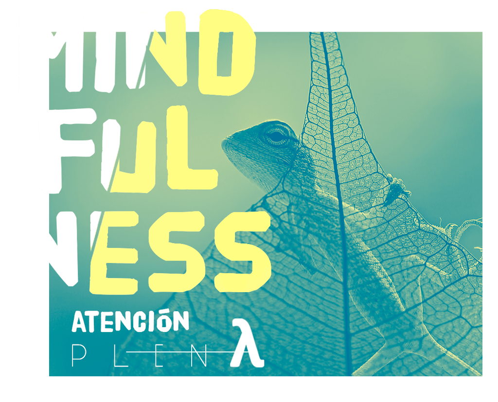 taller mindfulness atencion plena