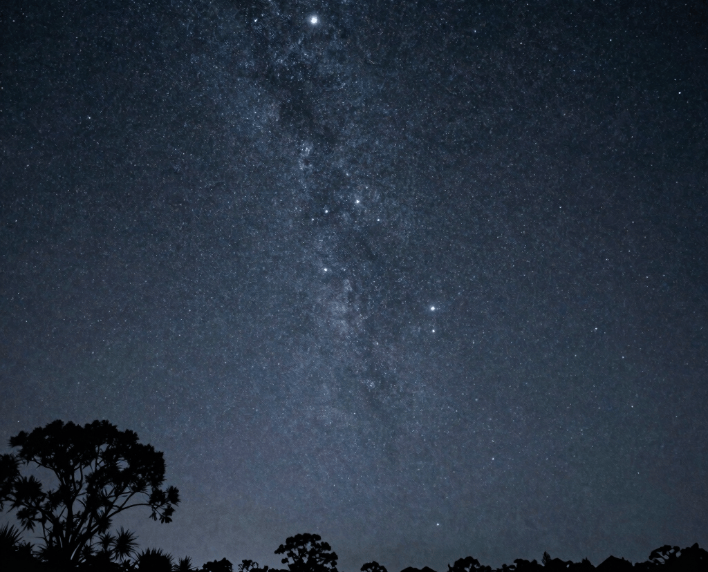 Breathtaking night sky showing the Milky Way galaxy stars over a dark forest silhouette.