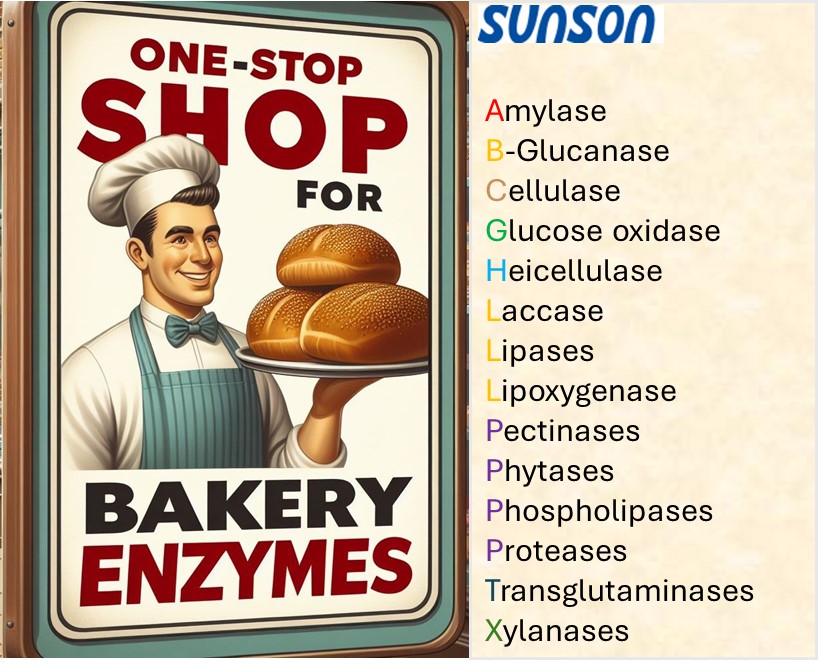 Summary of Bakery enzymes