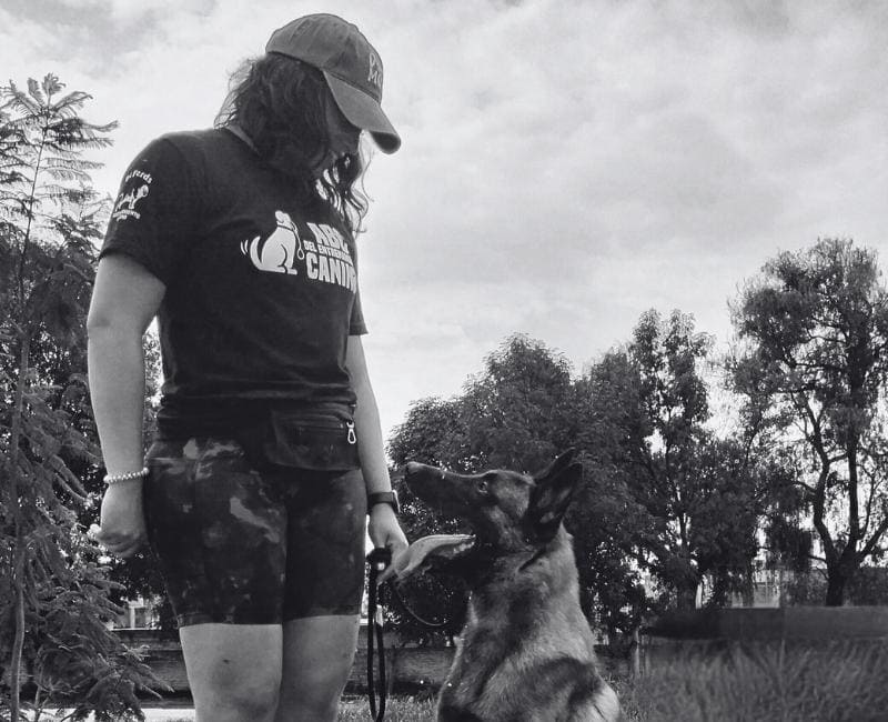 Entrenador canino profesional trabajando con un Pastor Belga Malinois al aire libre.