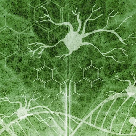 Green leaf overlay with neuron diagrams, DNA helix, and chemical structures for health AI