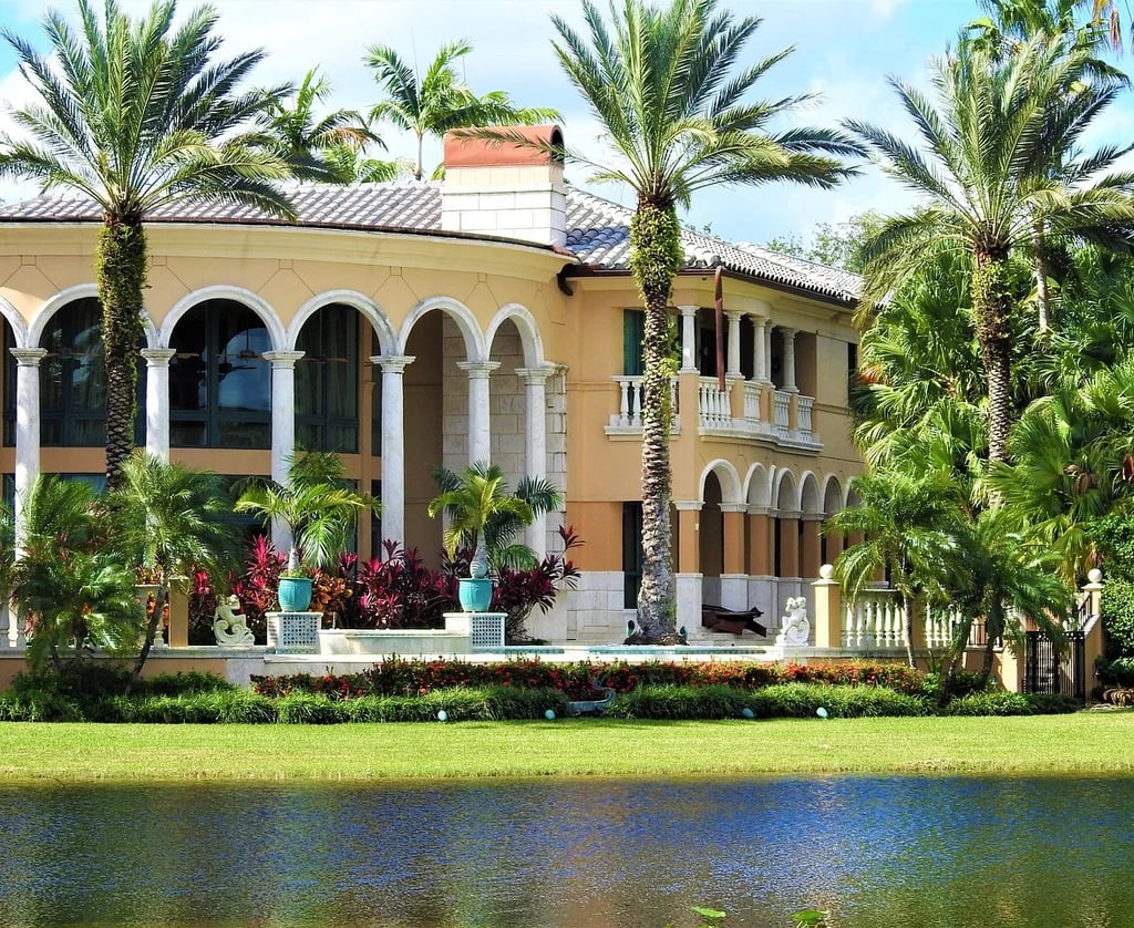 house with a palm tree