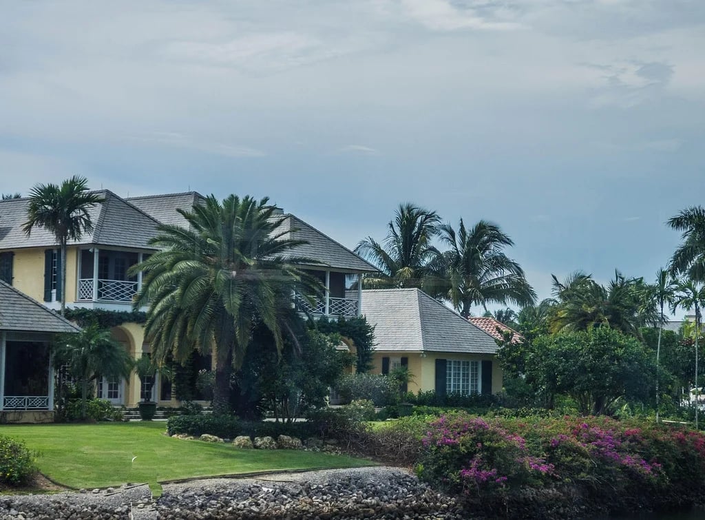 house with palm trees