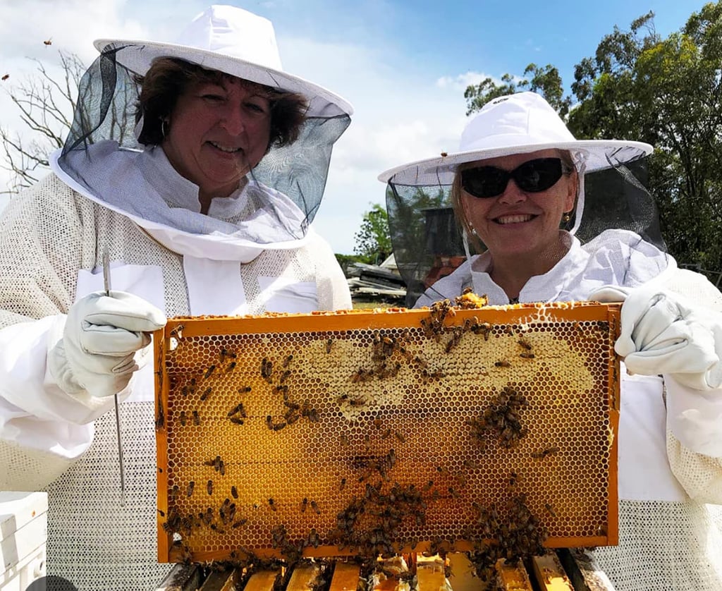 Large commercial bee yard with rows of hives and beekeepers in matching protective suits from Heliotrope Bee.