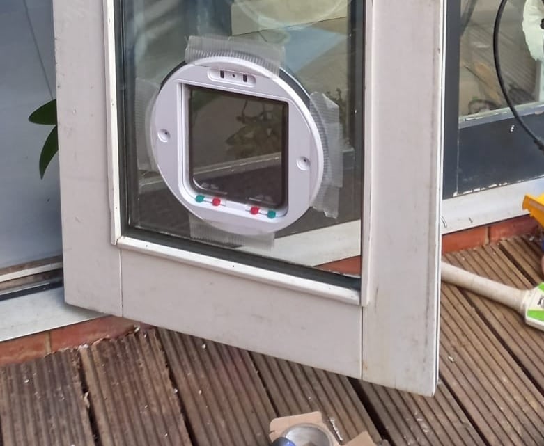 cat flap installed in door