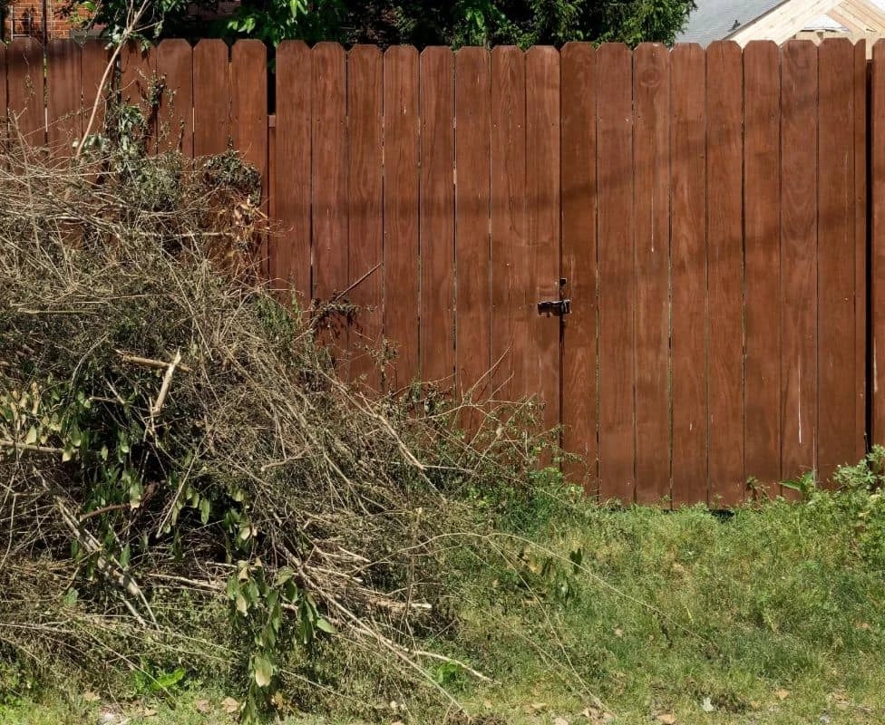 overgrown yard with wooden fence