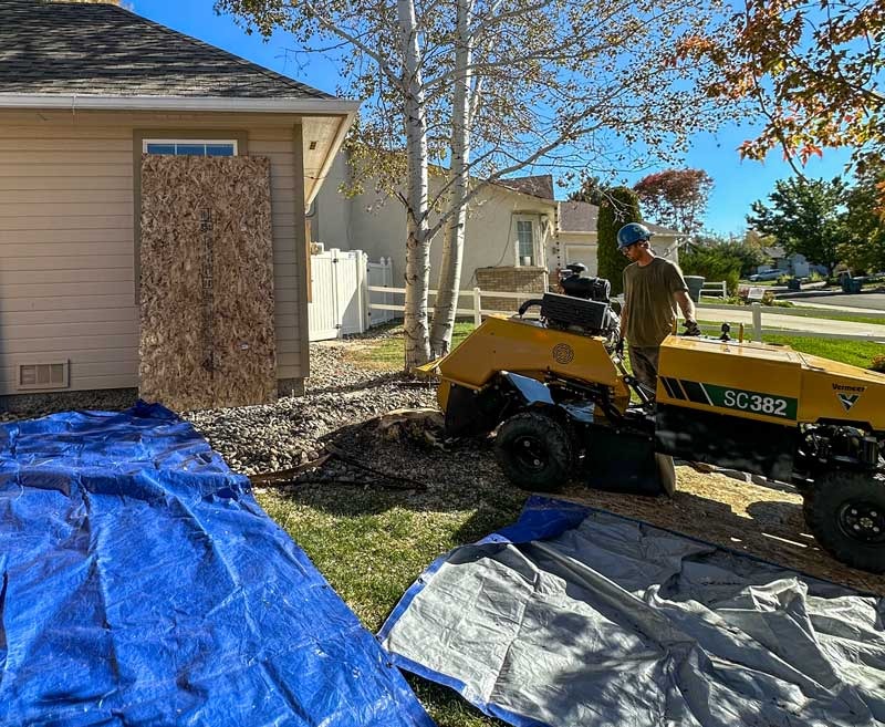 Professional stump grinding and removal services in Grand Junction, Colorado.