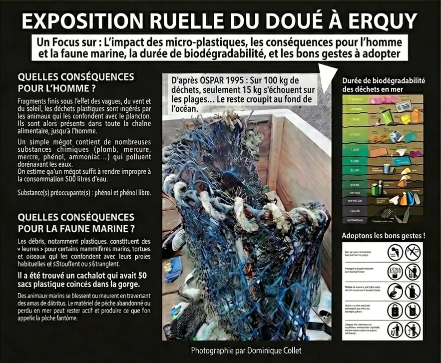  Infographie de l'exposition à Erquy sur l'impact des déchets, photo du casier marin par D. Collet.