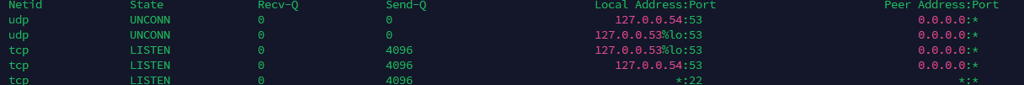 ss tultn linux command output